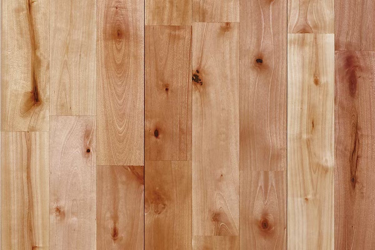 西南カバ90 ラスティック