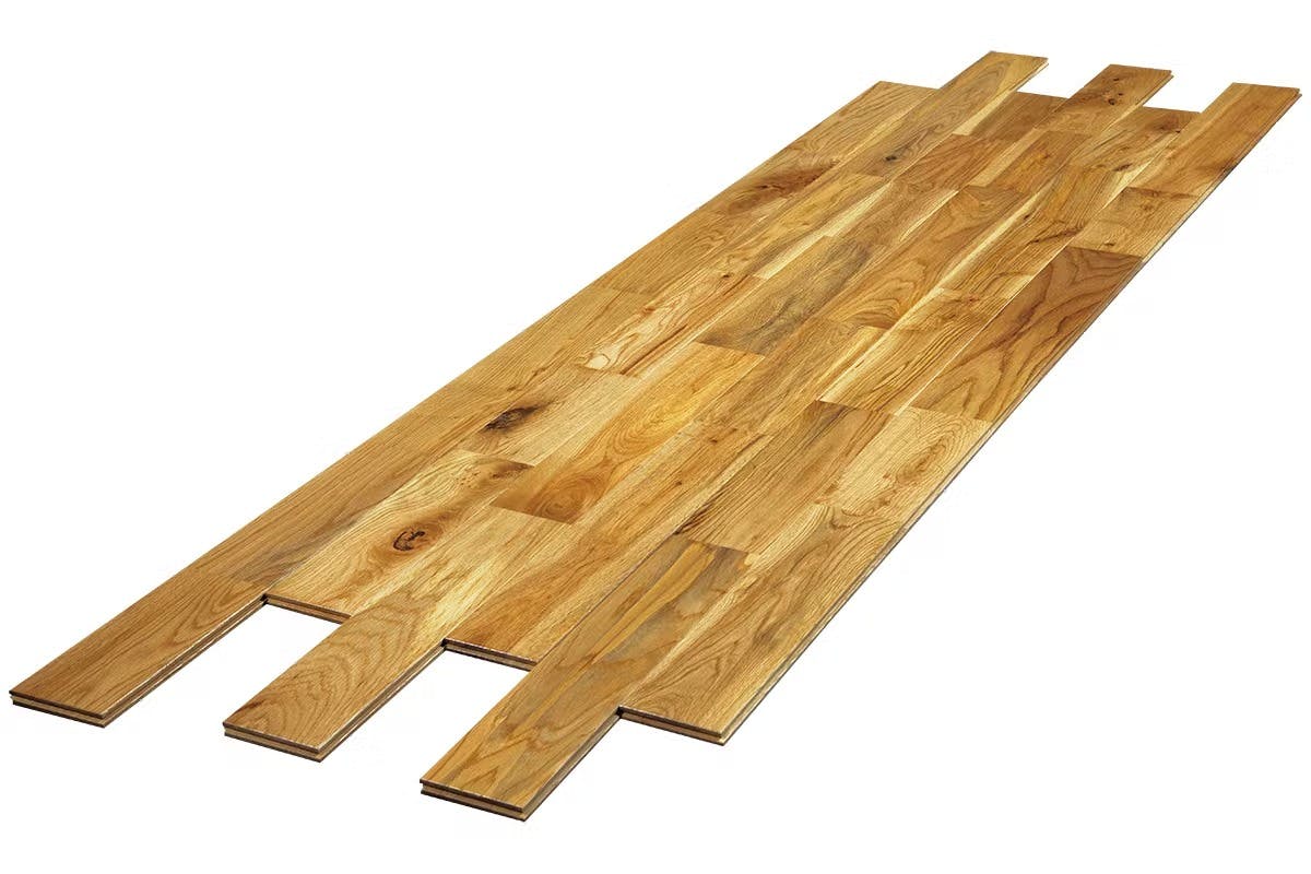 オーク90 オスモラスティック