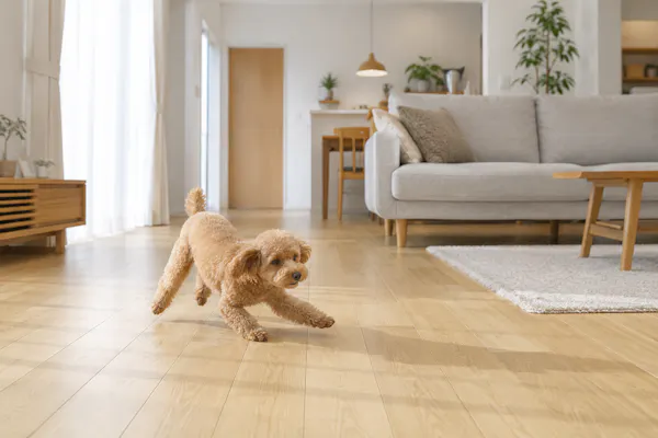 ペットが滑る床はケガの原因｜犬・猫に優しい滑らない床材の選び方