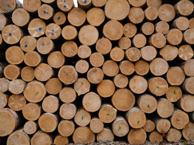 丸太 原木