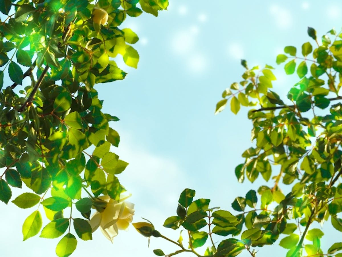 リビングリフォーム