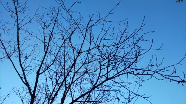 換気の徹底床暖房
