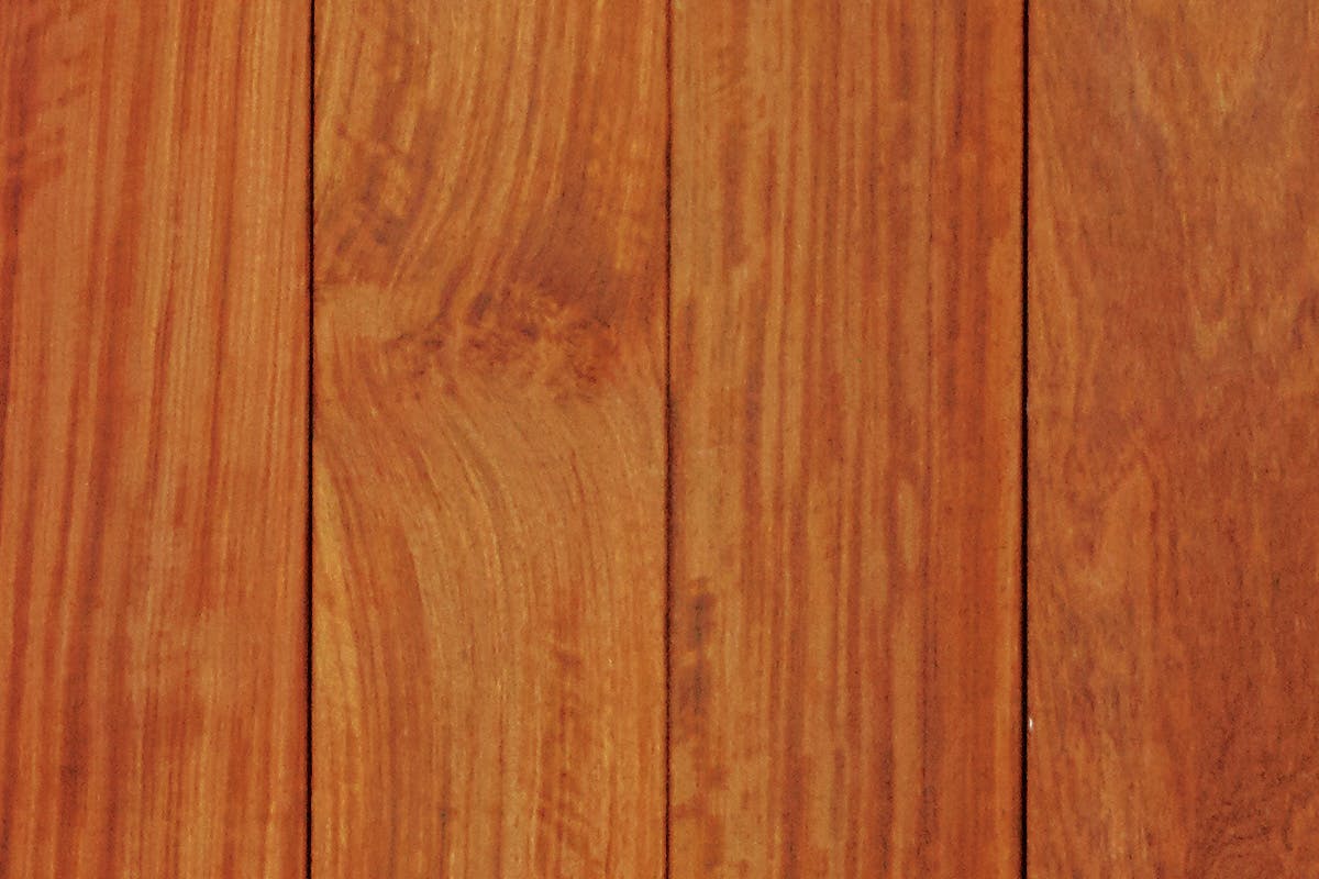 樹花梨無修正画像