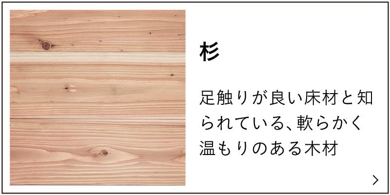 杉の特徴説明のバナー