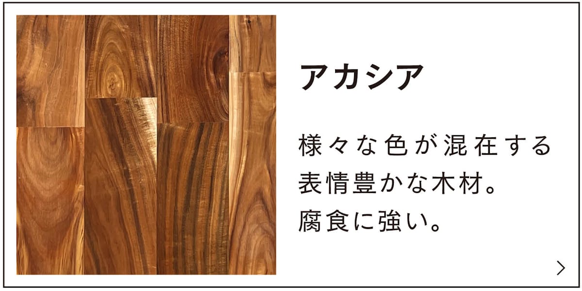 アカシアの特徴説明のバナー