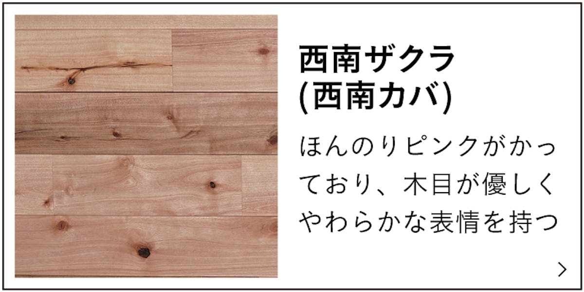 西南カバの特徴説明のバナー