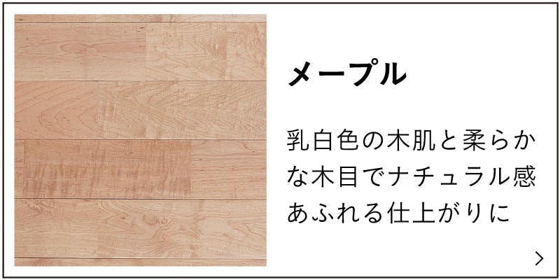 メープルの特徴説明のバナー